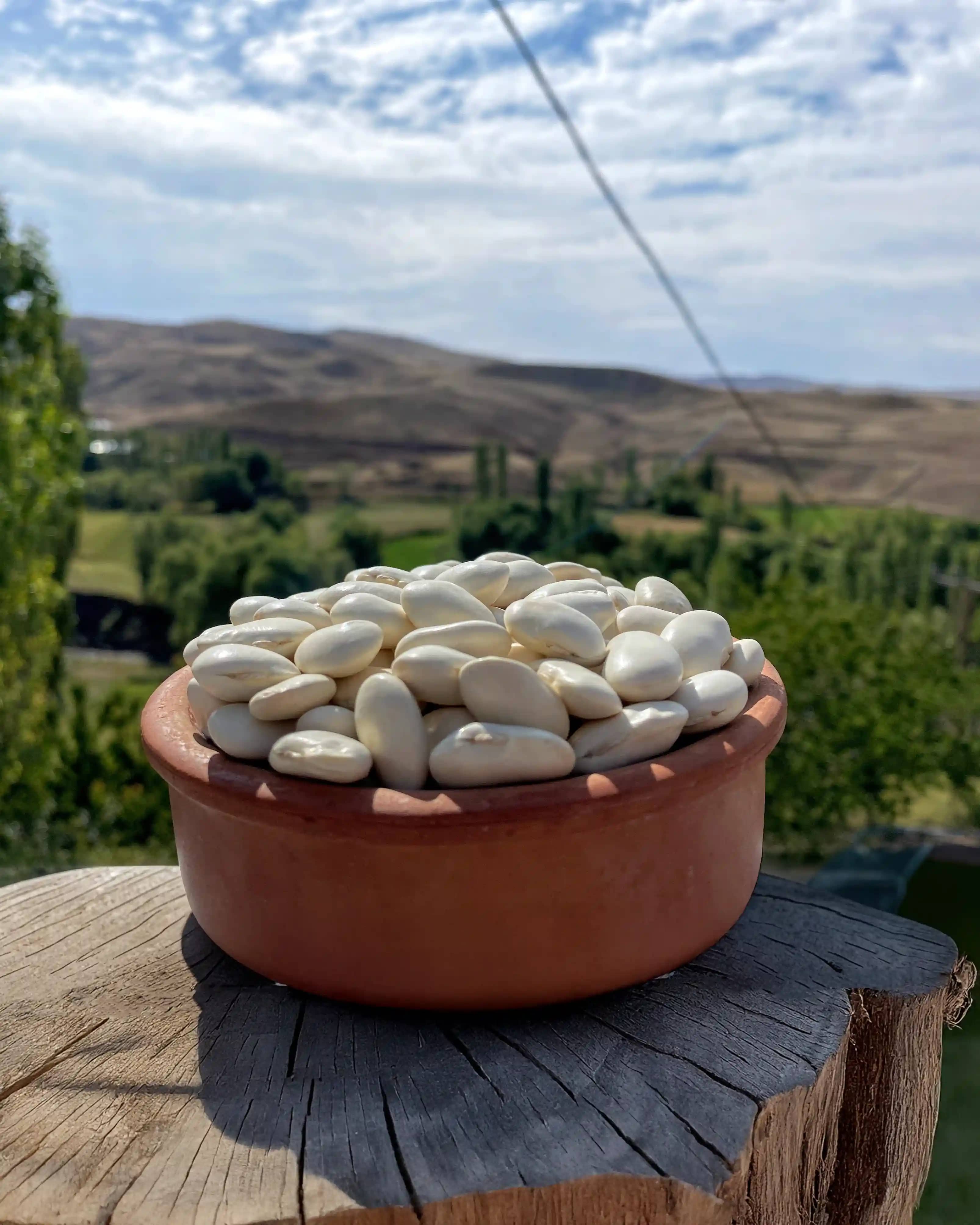 Fasulye (İri taneli)