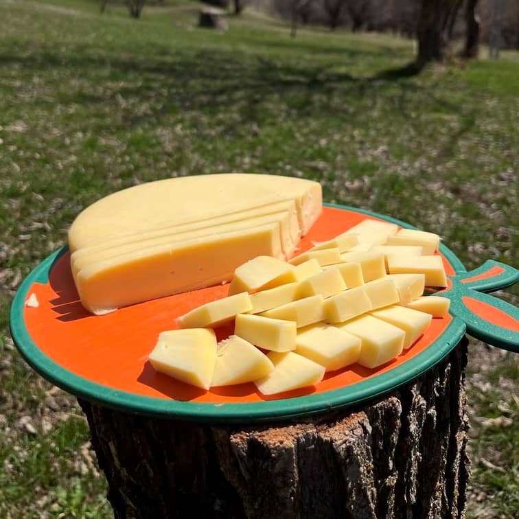 Göbek Kaşar Peyniri